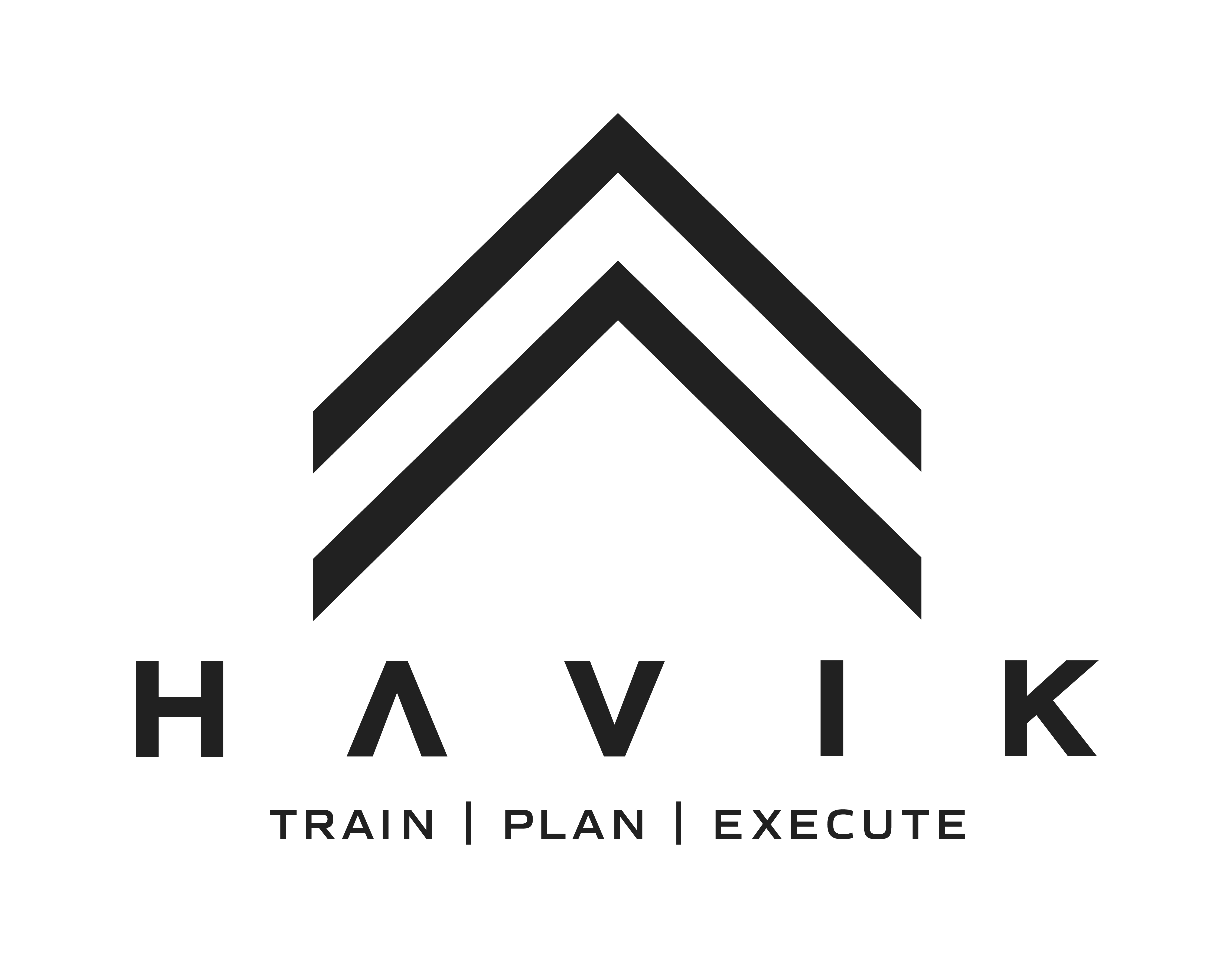 HAVIK Logo Black Full Lockup